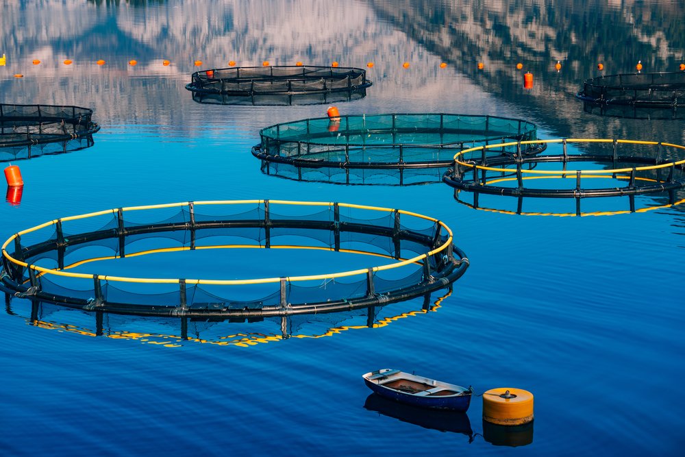Pros and cons of the spread of cage aquaculture in Africa